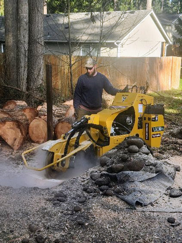 Operator using Vermeer SC30TX stump grinder to remove tree stump in residential backyard near Chehalis WA